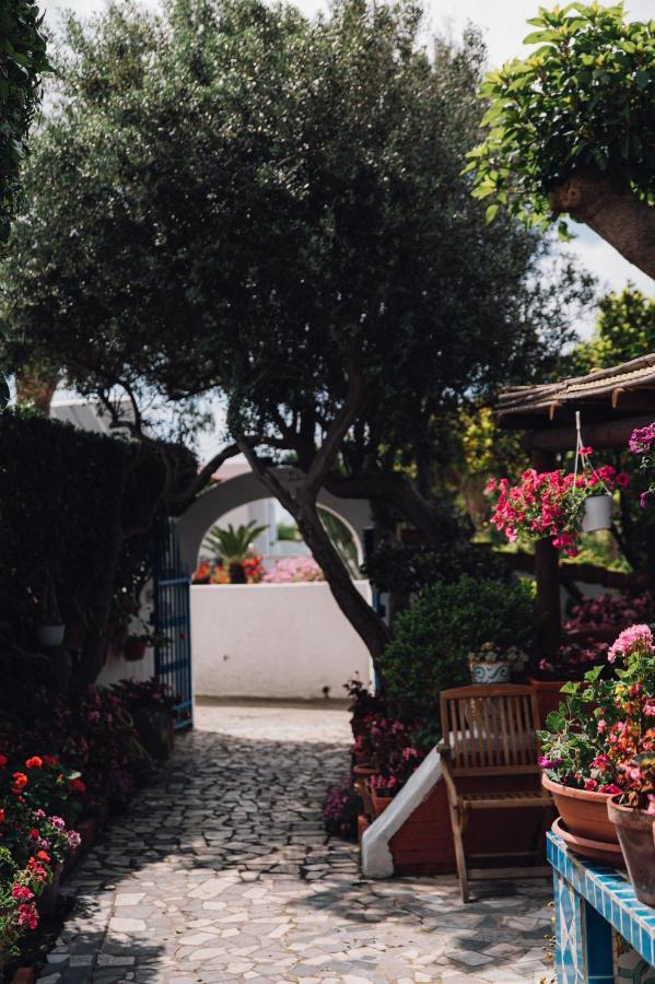 Hotel Villa Maria Sant'Angelo (Isola d'Ischia) Exterior foto