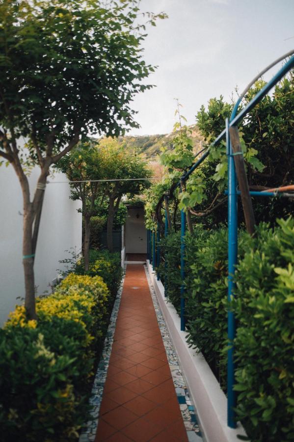 Hotel Villa Maria Sant'Angelo (Isola d'Ischia) Exterior foto
