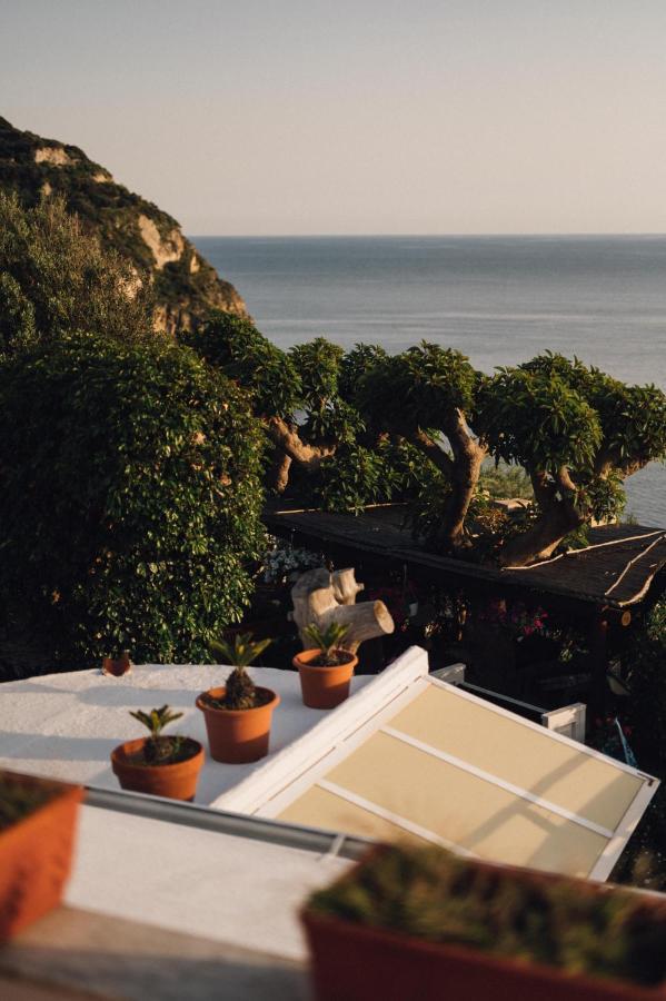 Hotel Villa Maria Sant'Angelo (Isola d'Ischia) Exterior foto